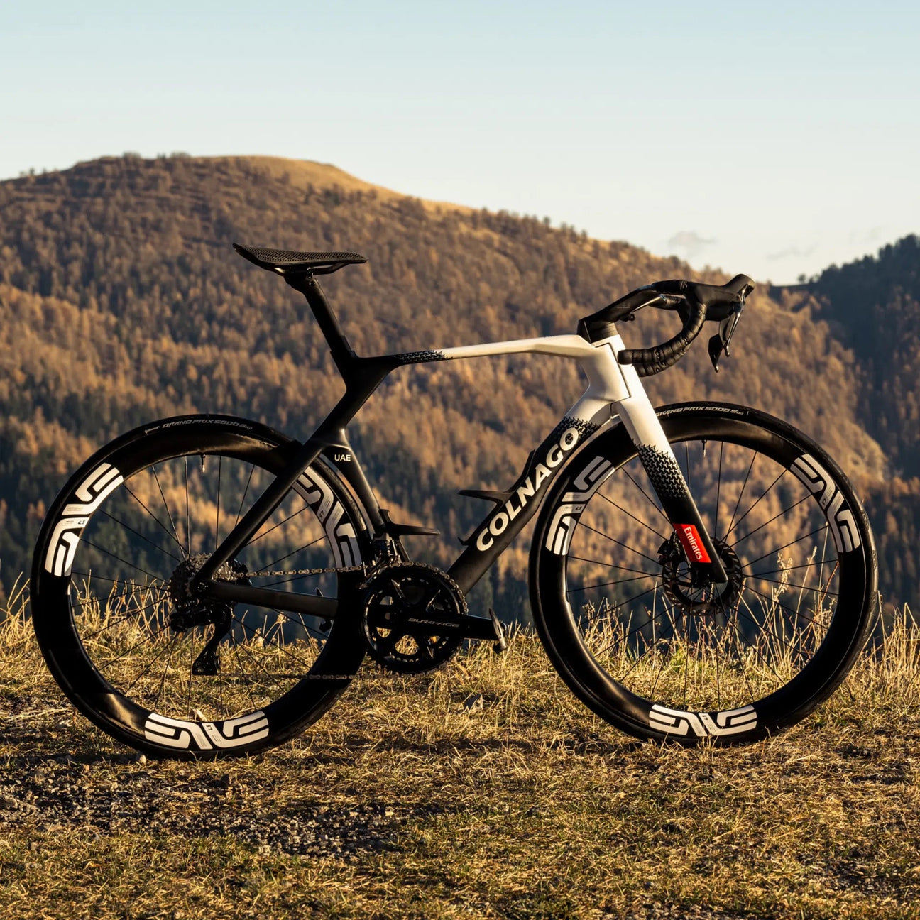 Colnago